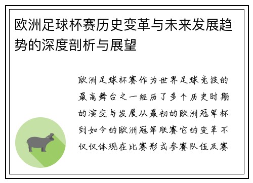 欧洲足球杯赛历史变革与未来发展趋势的深度剖析与展望