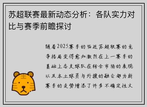 苏超联赛最新动态分析：各队实力对比与赛季前瞻探讨