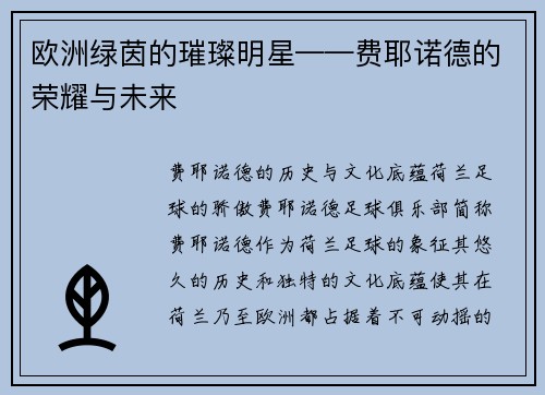 欧洲绿茵的璀璨明星——费耶诺德的荣耀与未来