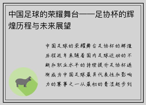 中国足球的荣耀舞台——足协杯的辉煌历程与未来展望