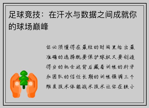 足球竞技：在汗水与数据之间成就你的球场巅峰